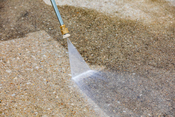 Best Sidewalk and Walkway Cleaning  in Navasota, TX