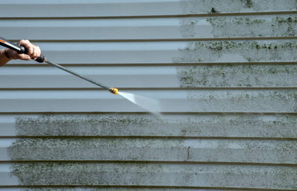 Best Gutter Cleaning  in Navasota, TX