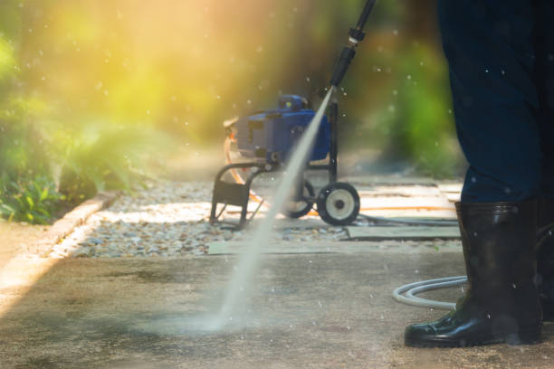 Best Solar Panel Cleaning  in Navasota, TX
